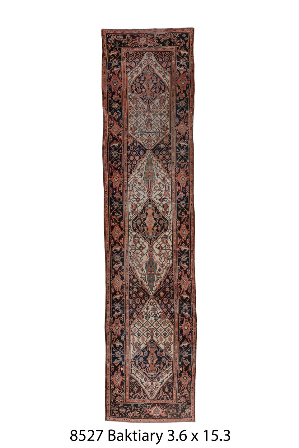 C08527 Rug
