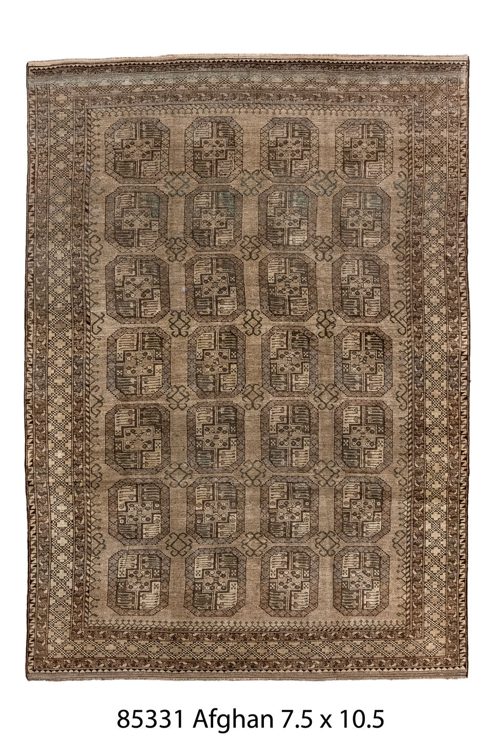 085331 Rug