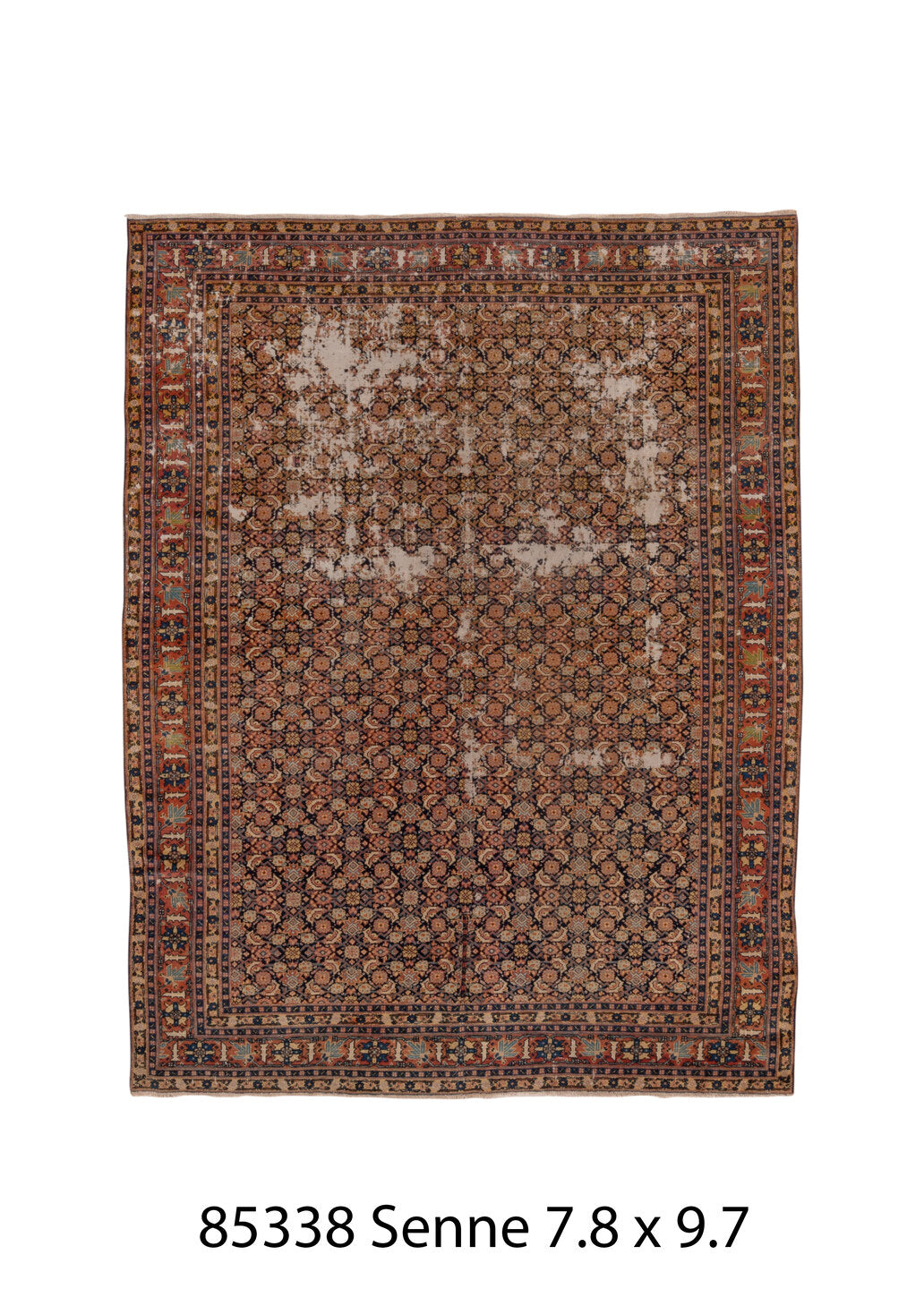 085338 Rug