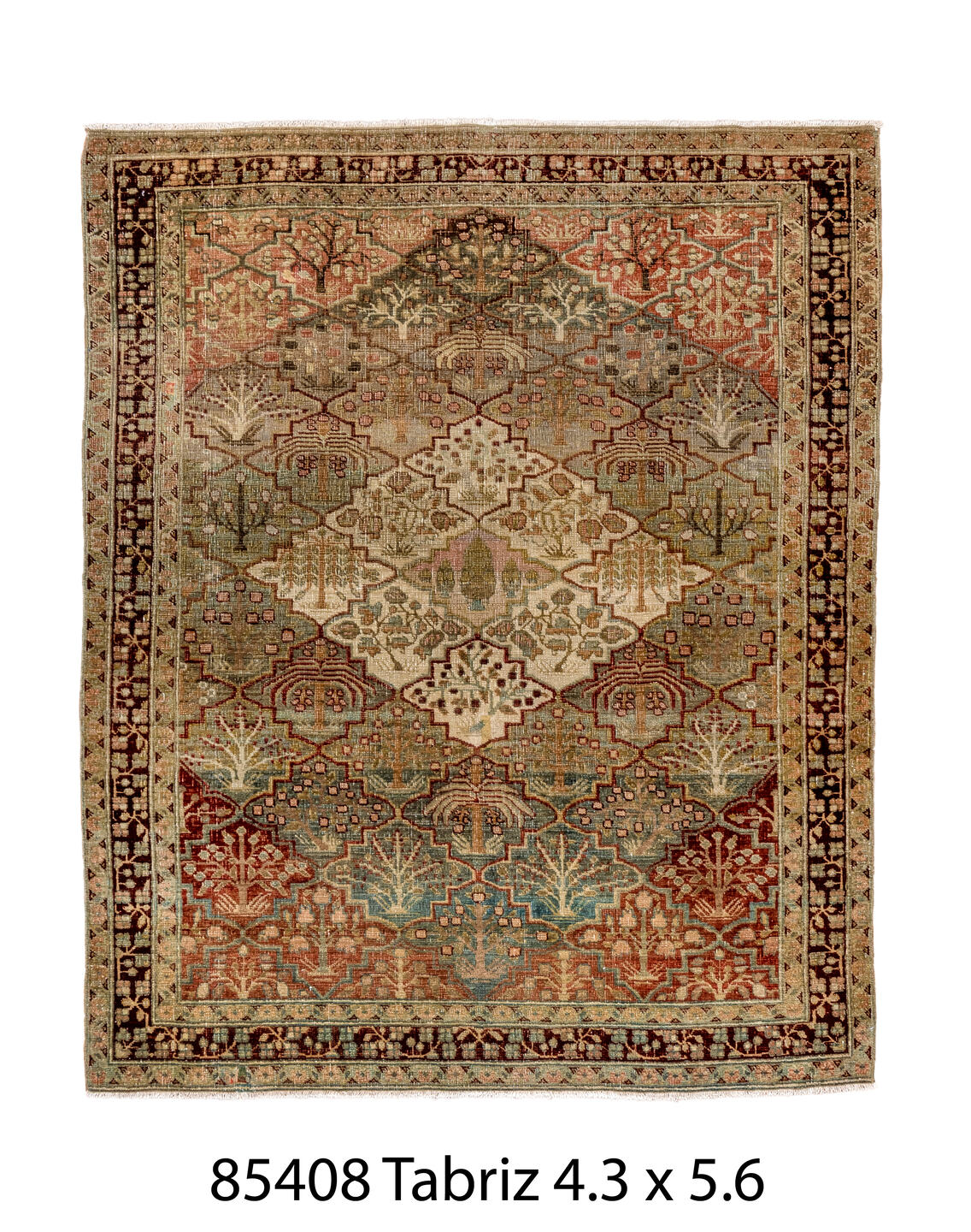 085408 Rug