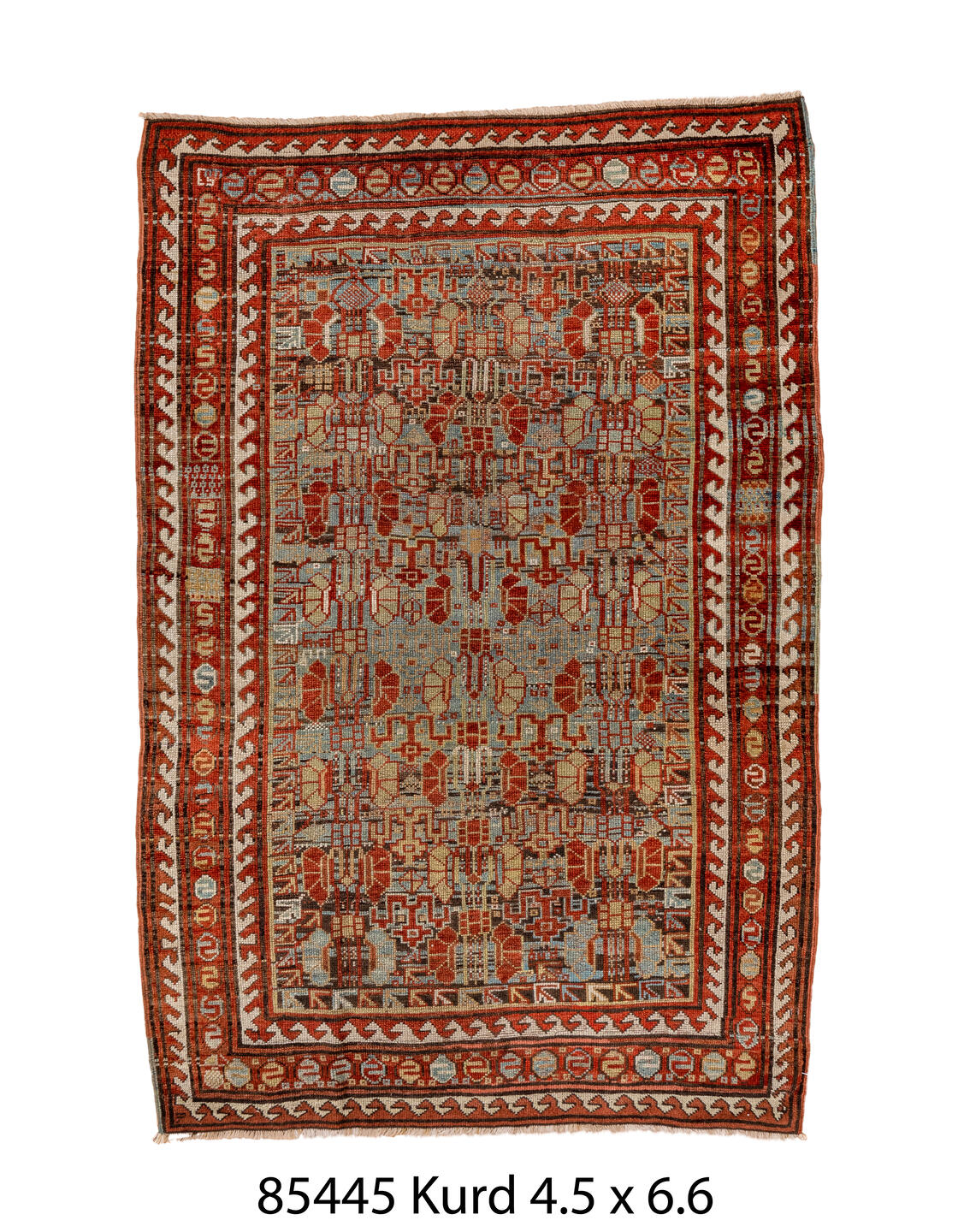 085445 Rug
