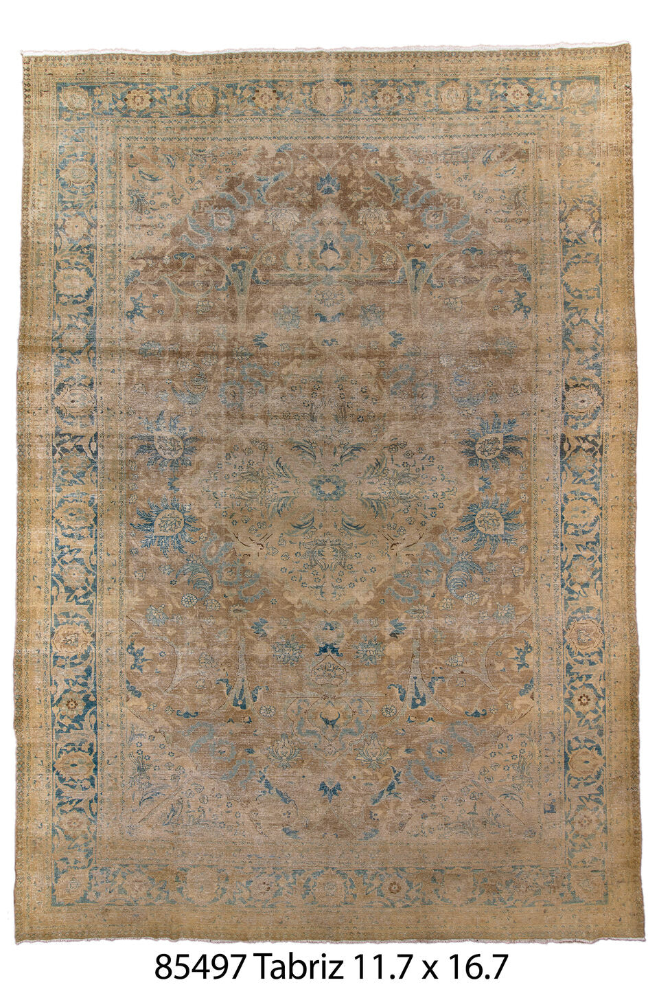 085497 Rug