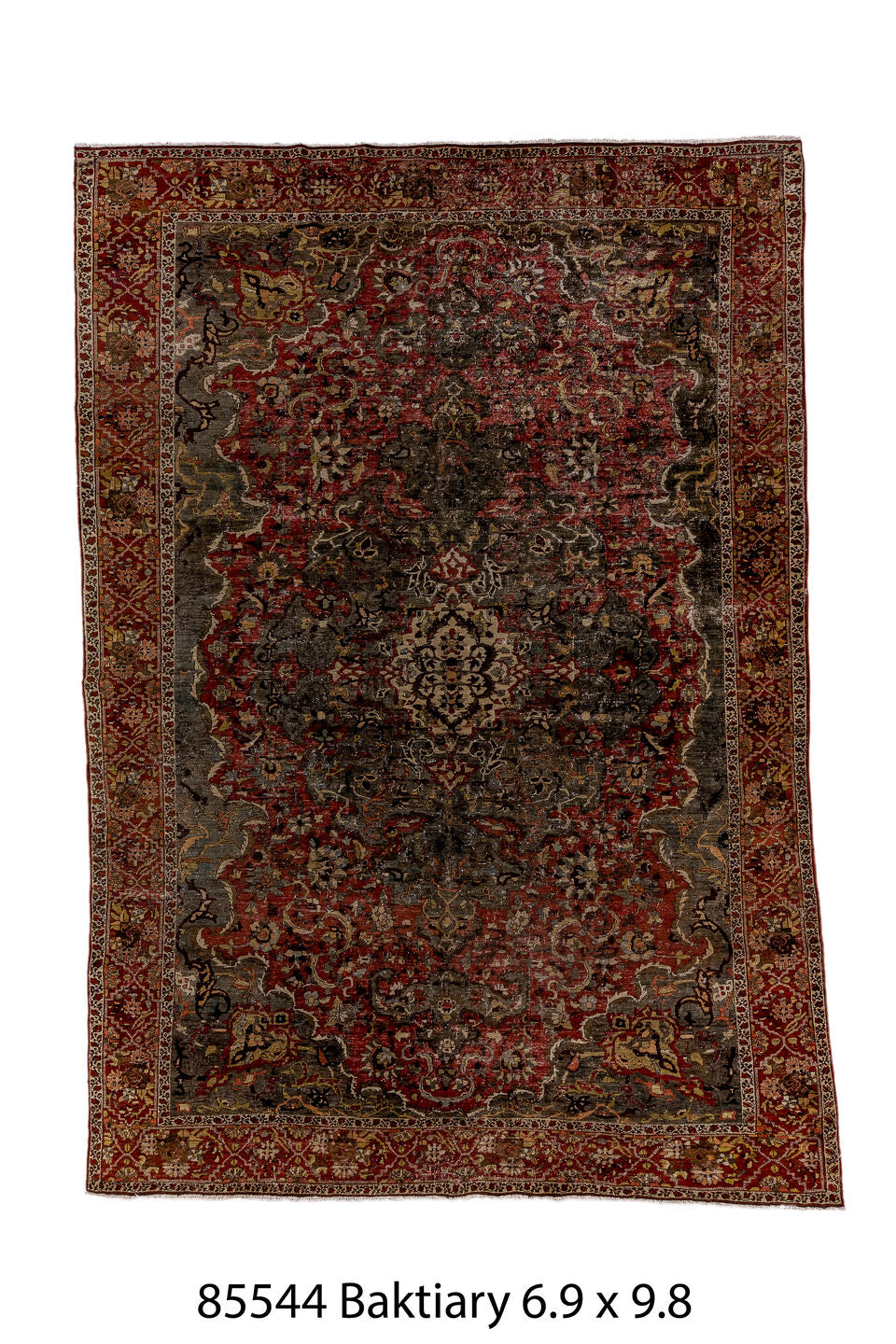 085544 Rug