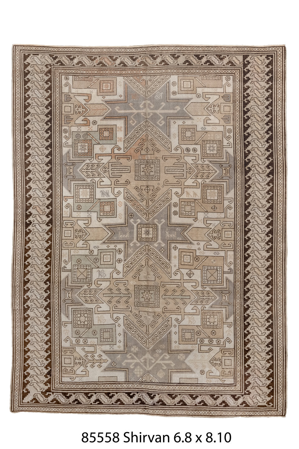085558 Rug