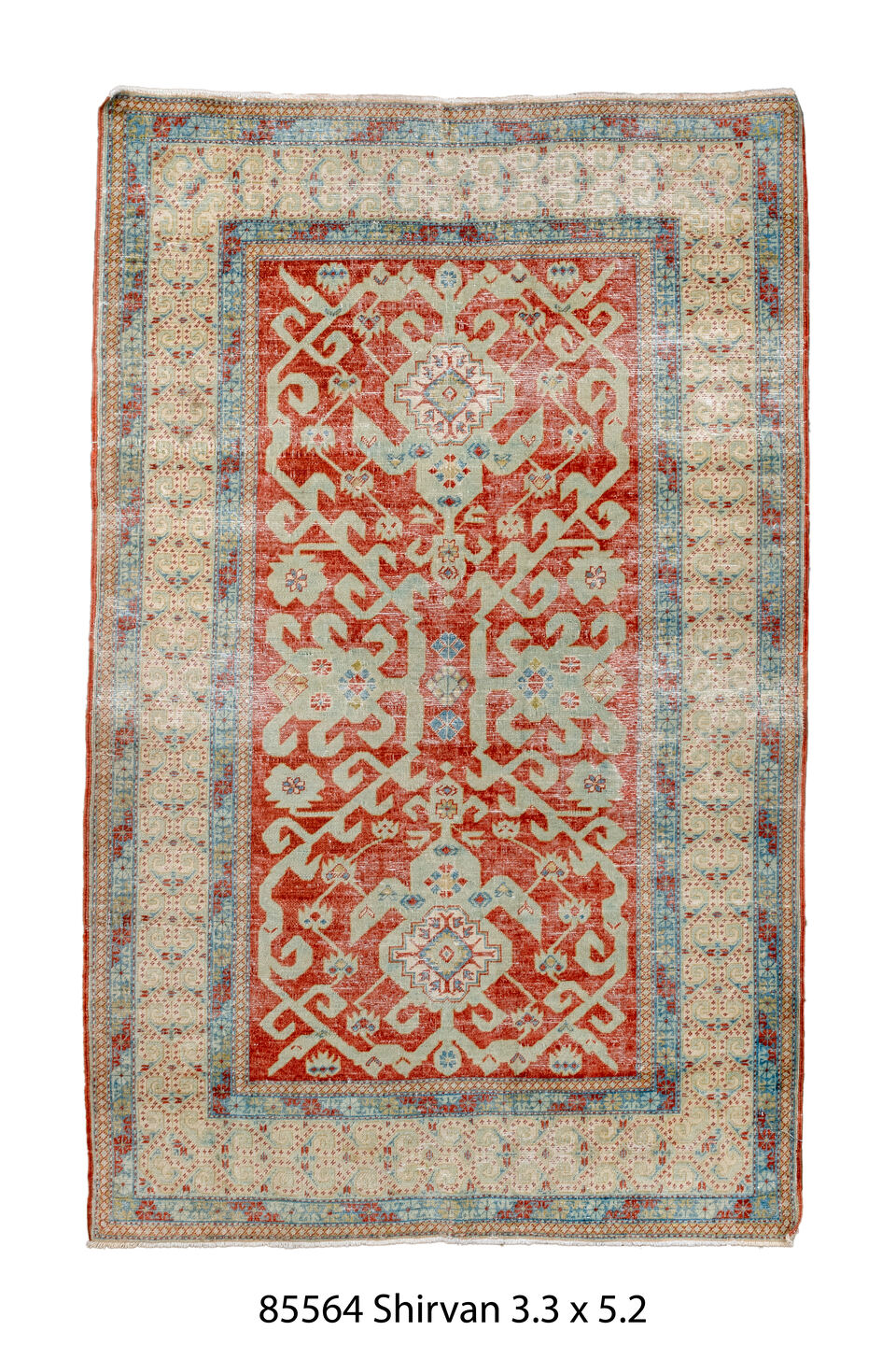 085564 Rug