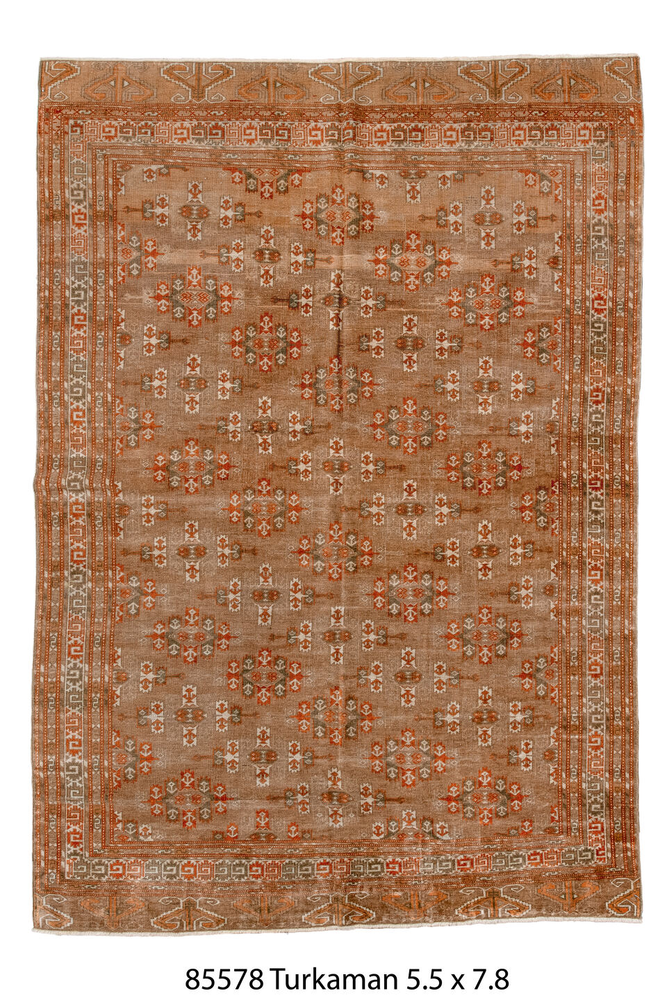 085578 Rug