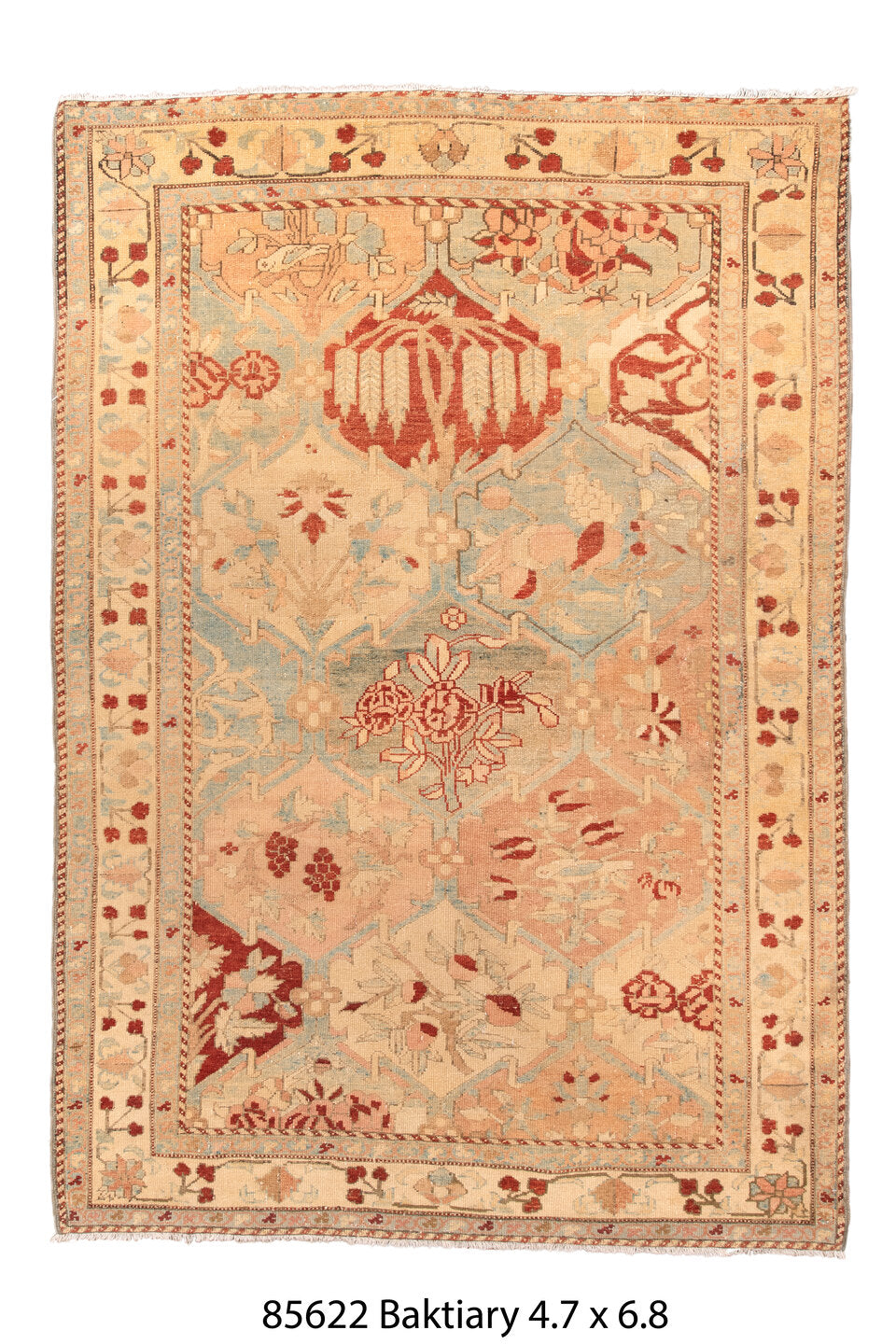 085622 Rug