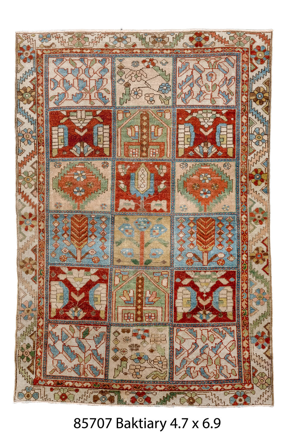 085707 Rug