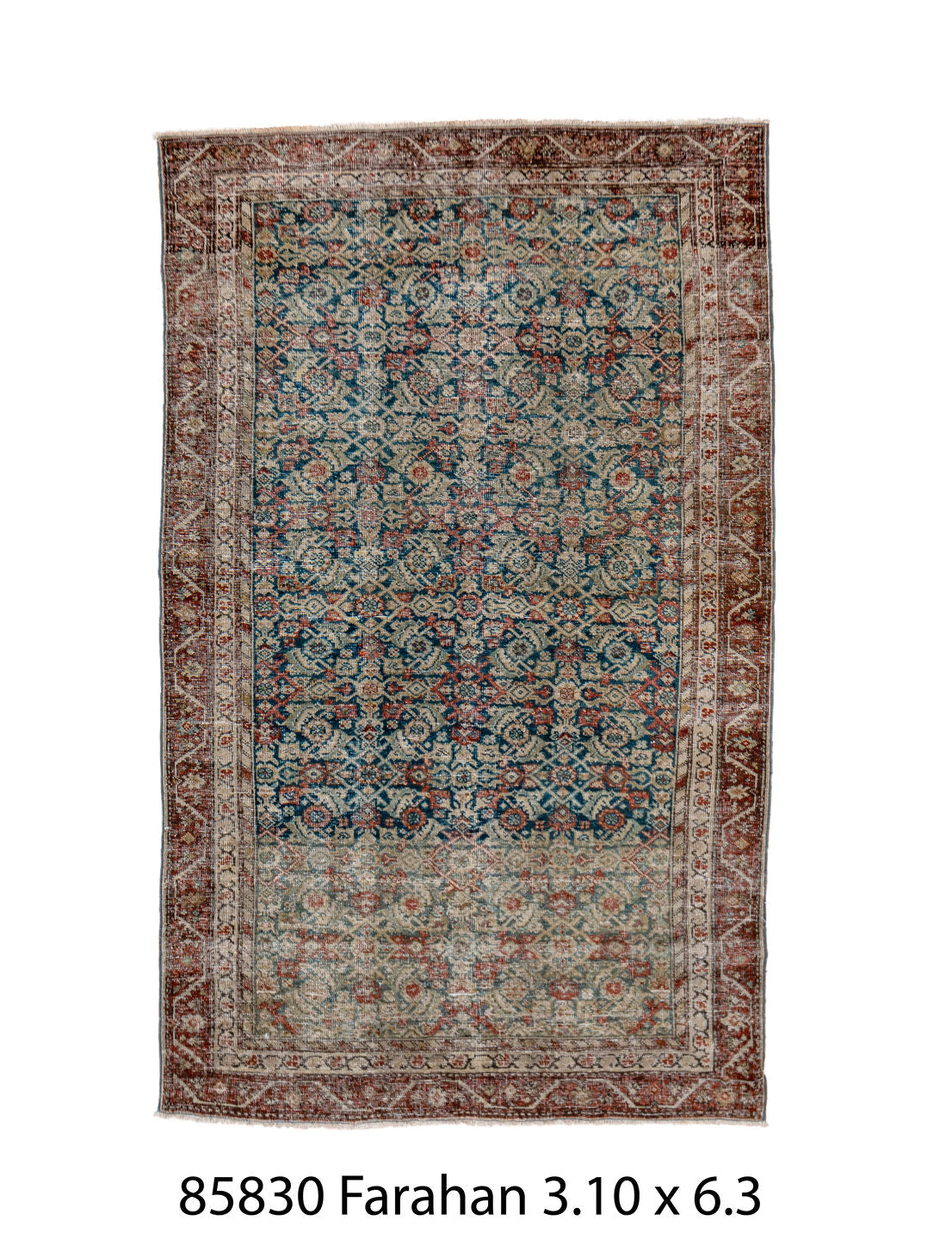 085830 Rug
