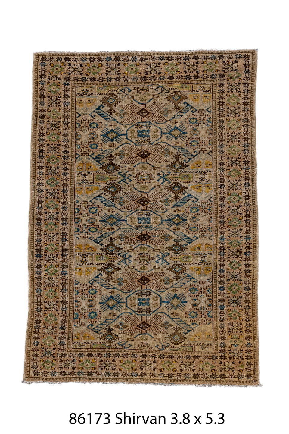 086173 Rug