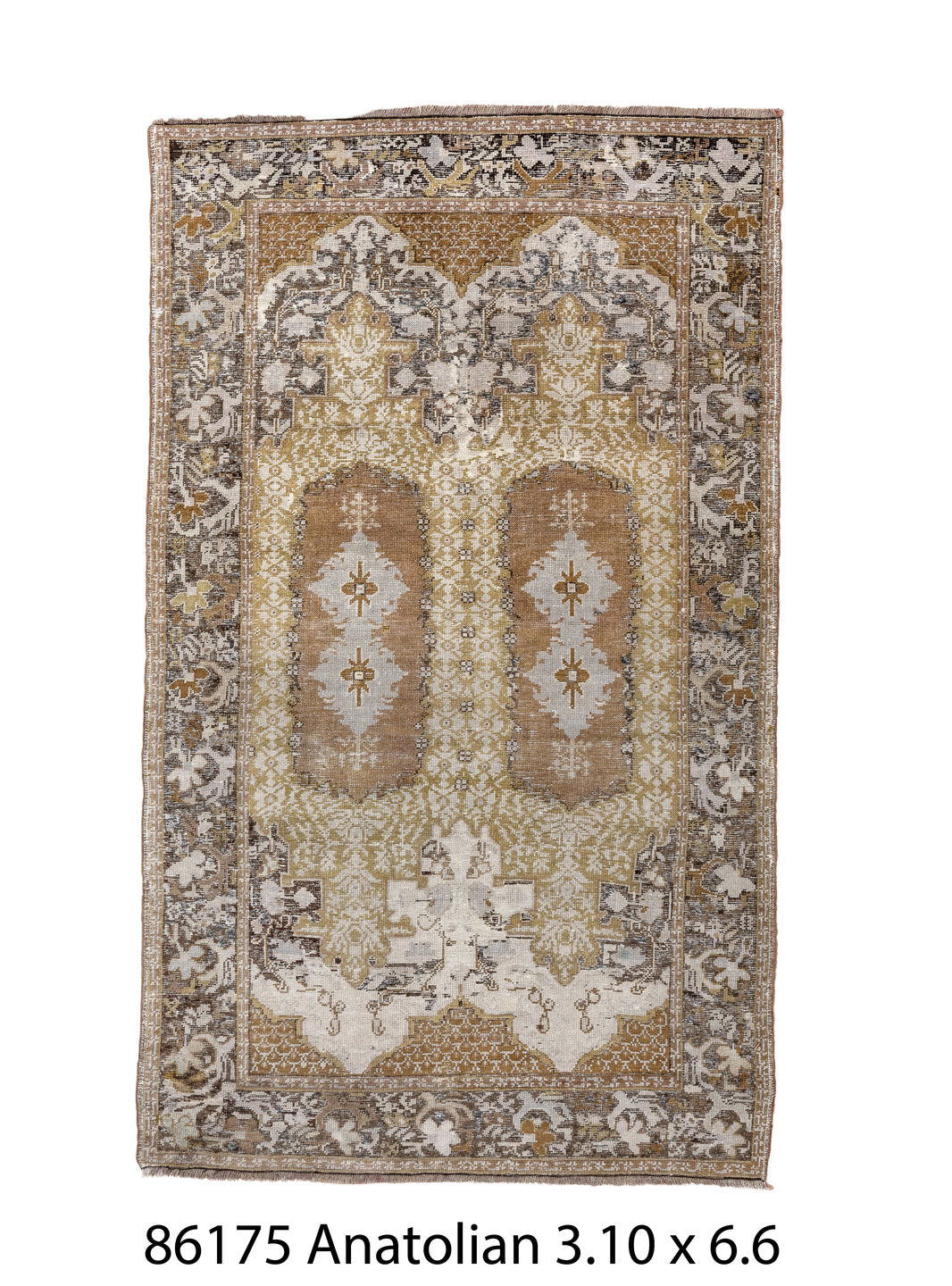 086175 Rug