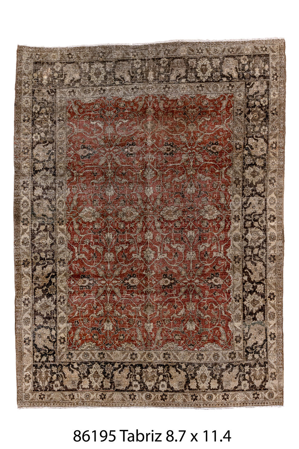 086195 Rug