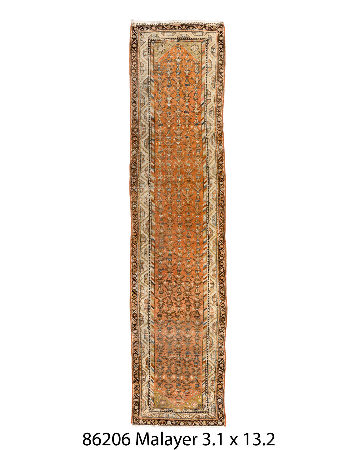 086206 Rug