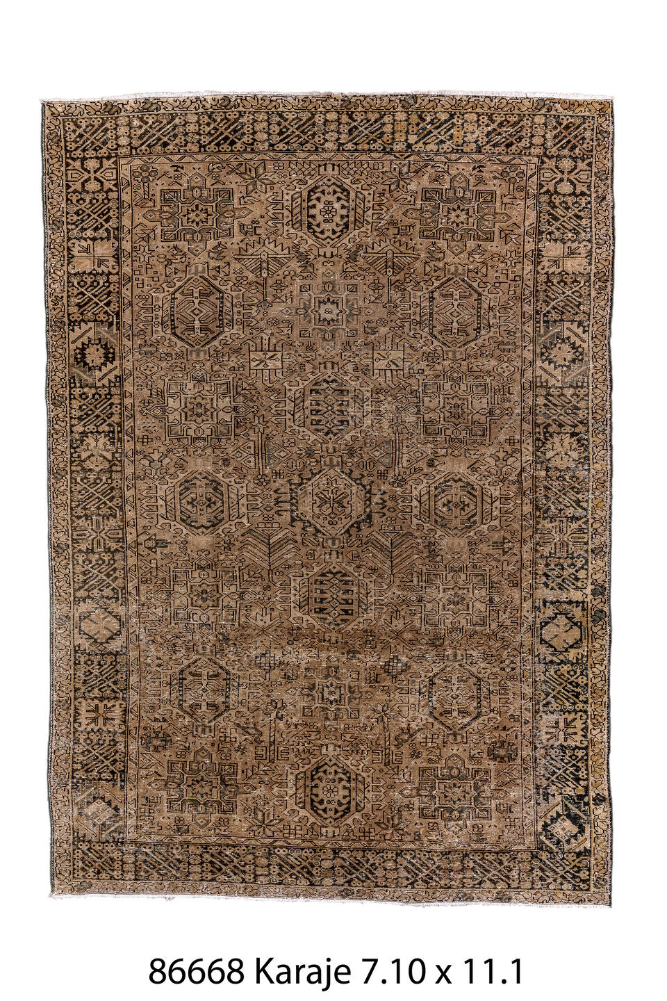 086668 Rug