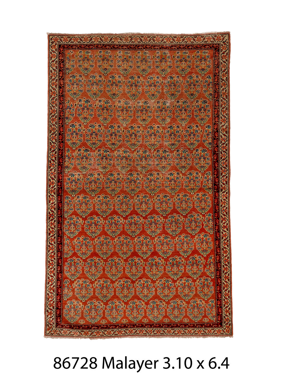 086728 Rug