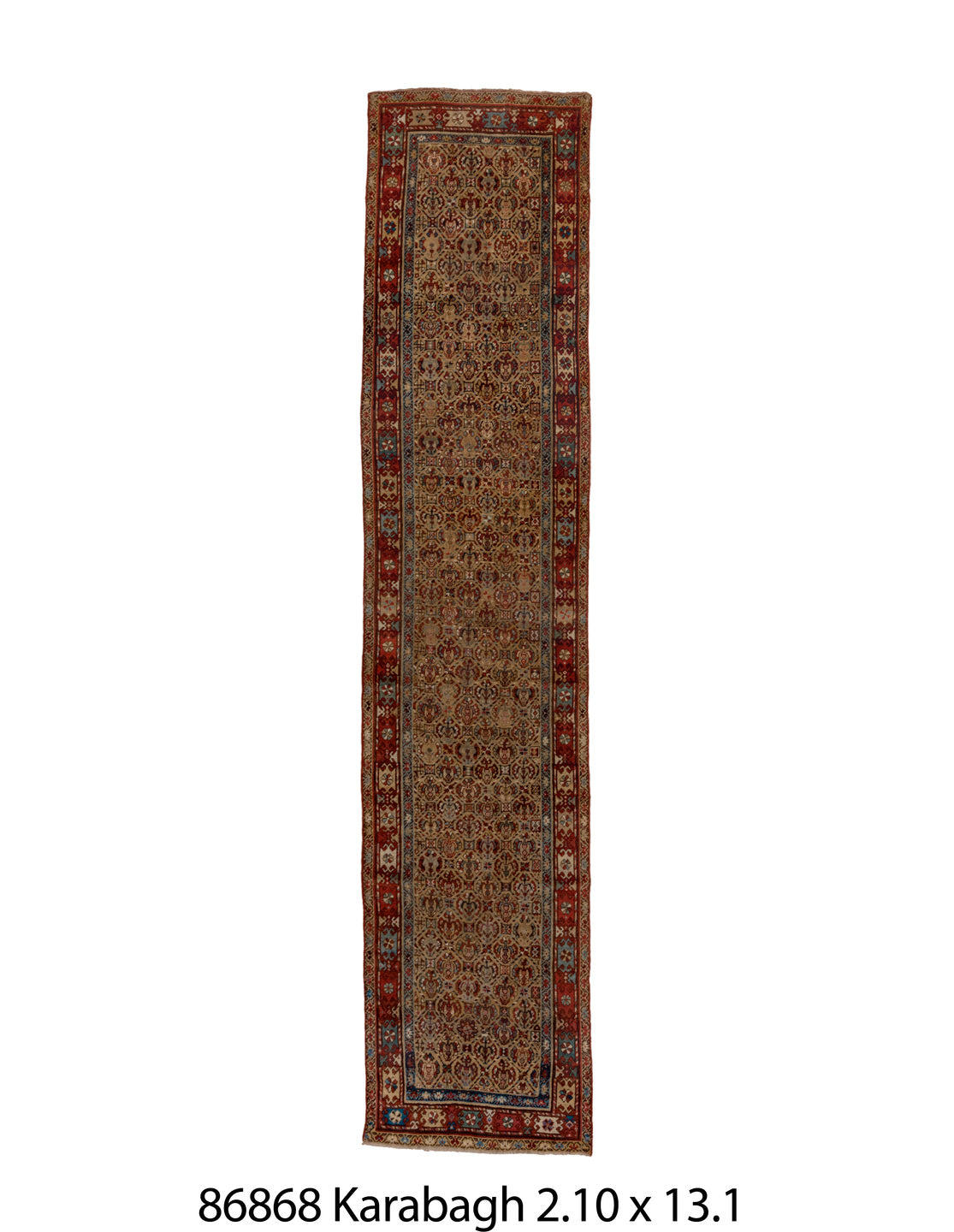 086868 Rug