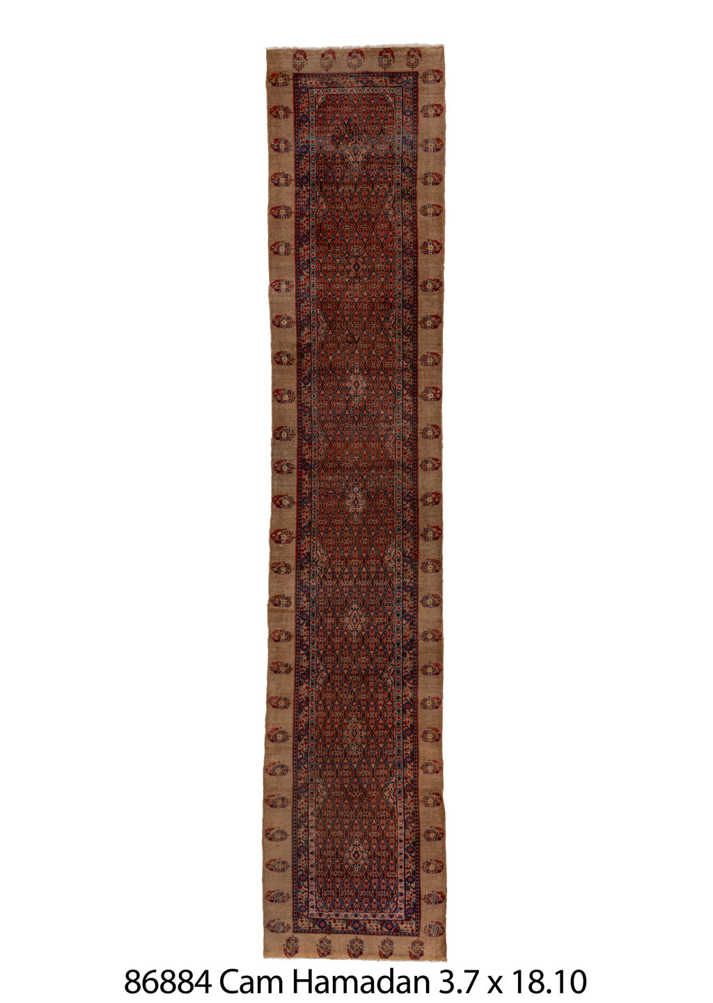 086884 Rug