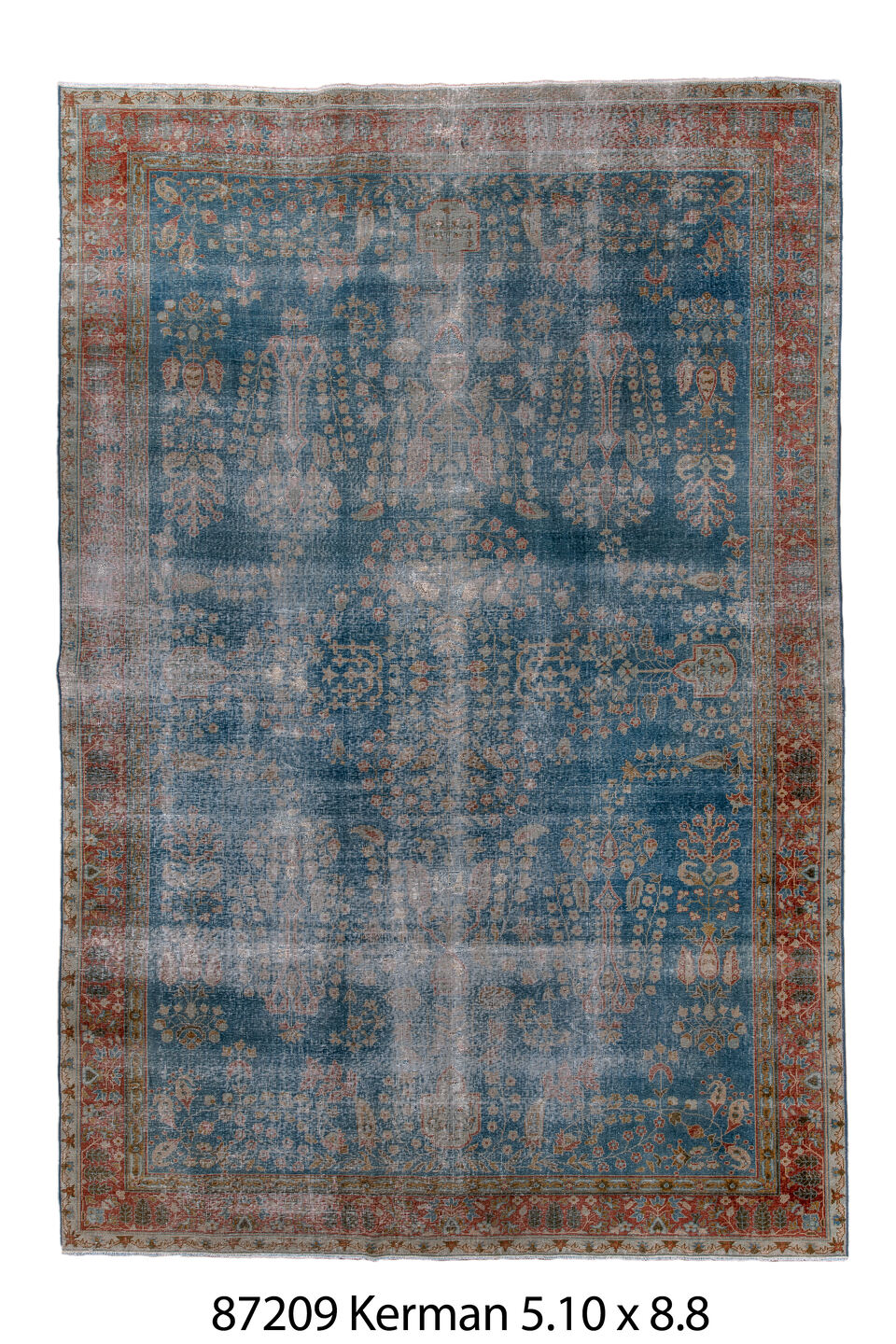 087209 Rug