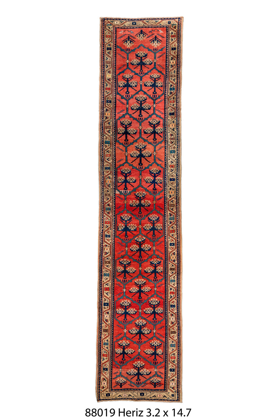 088019 Rug