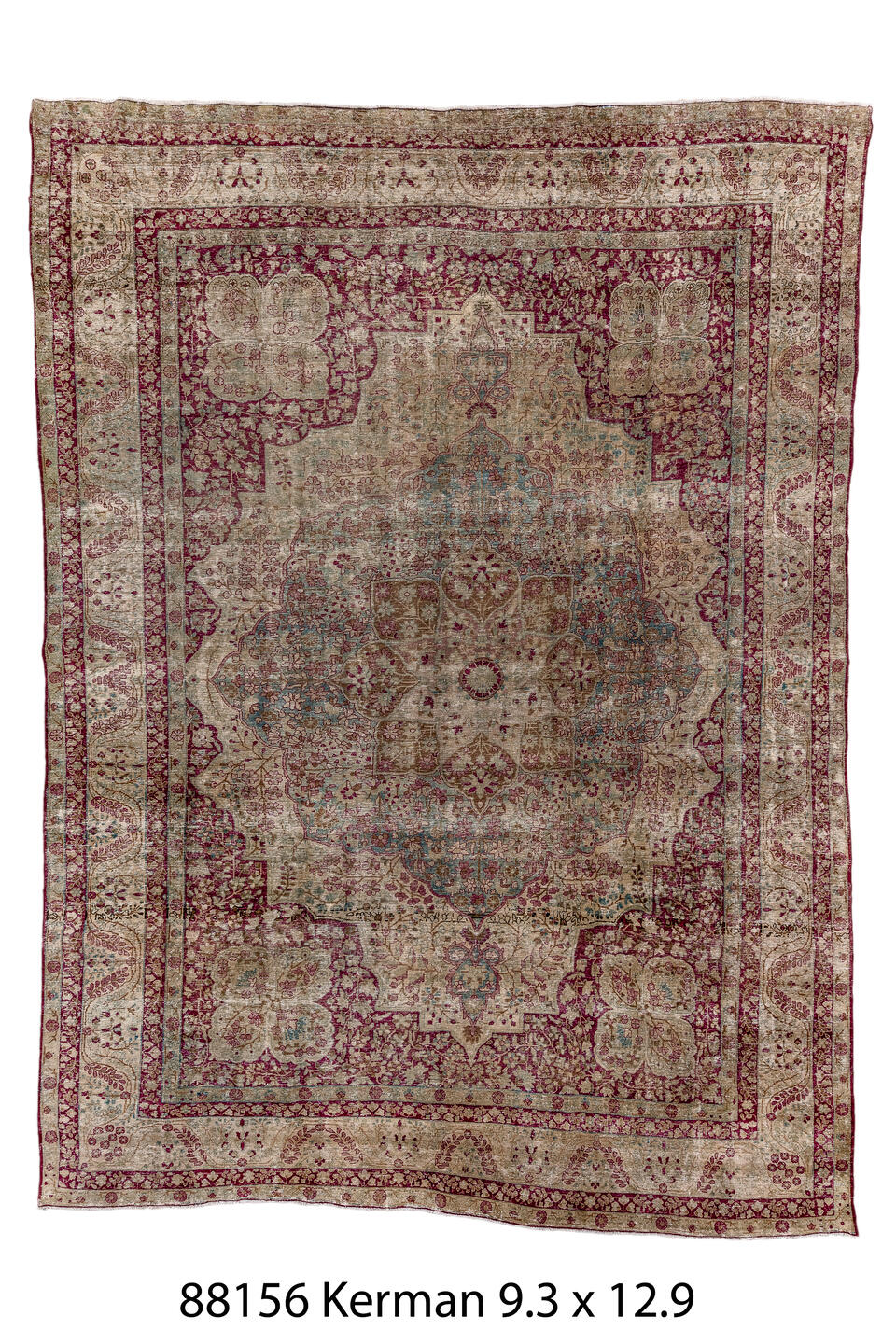 088156 Rug