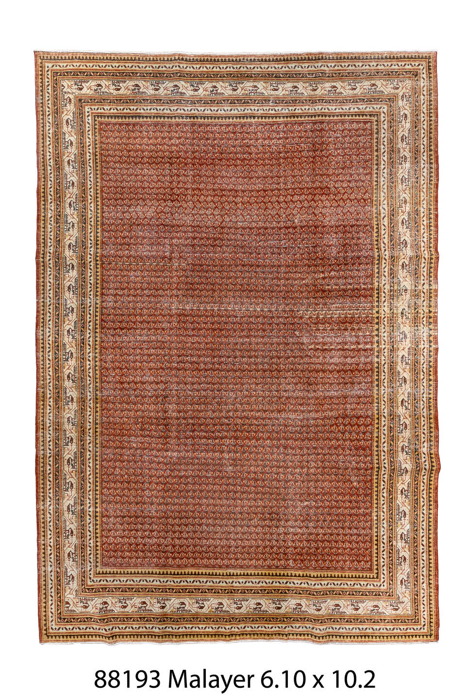 088193 Rug