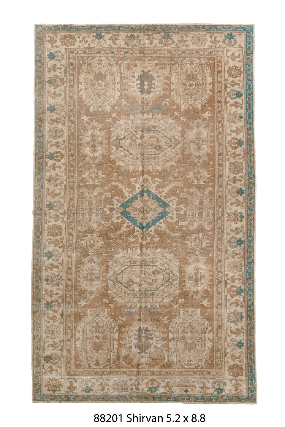 088201 Rug