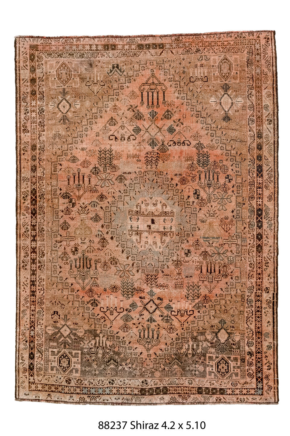 088237 Rug