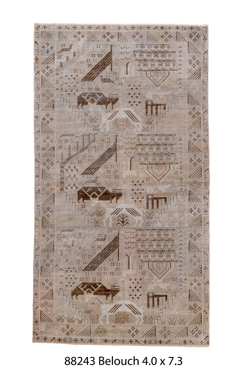 088243 Rug