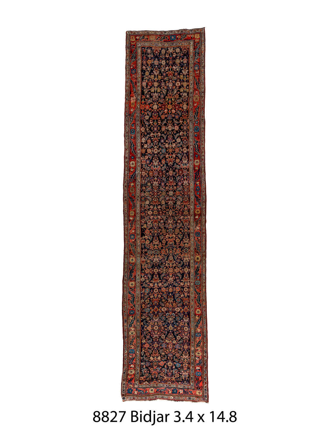 C08827 Rug