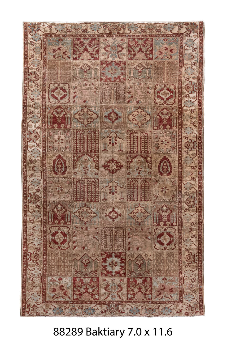 088289 Rug