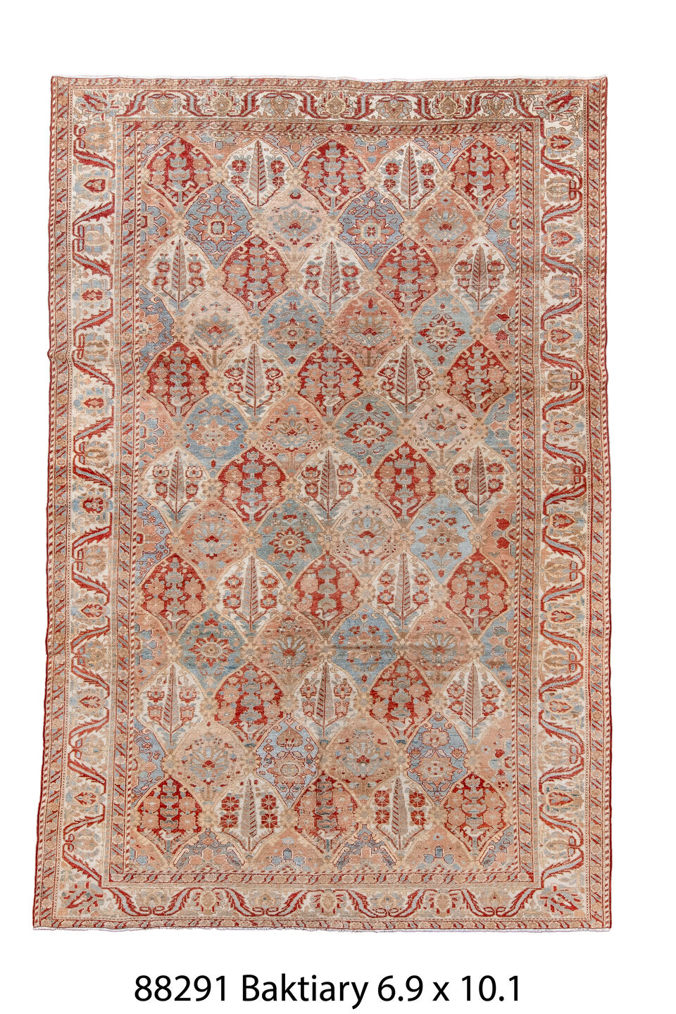 088291 Rug