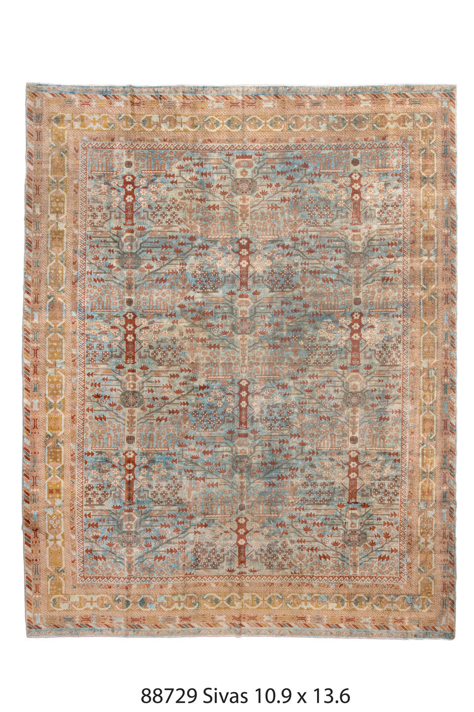 088729 Rug