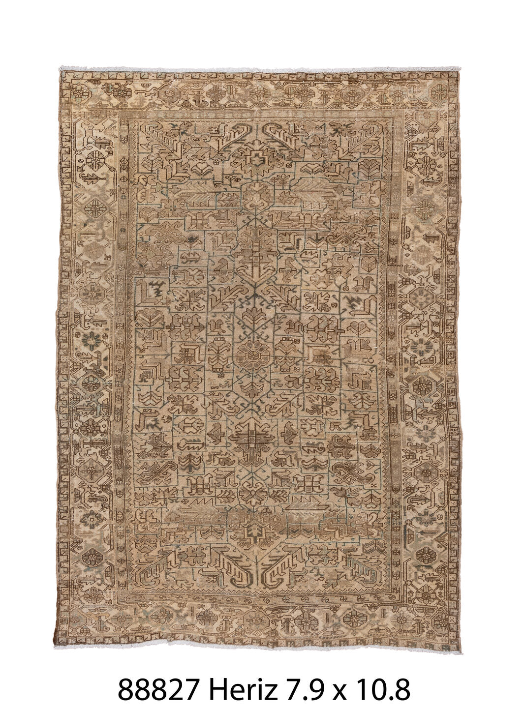 088827 Rug