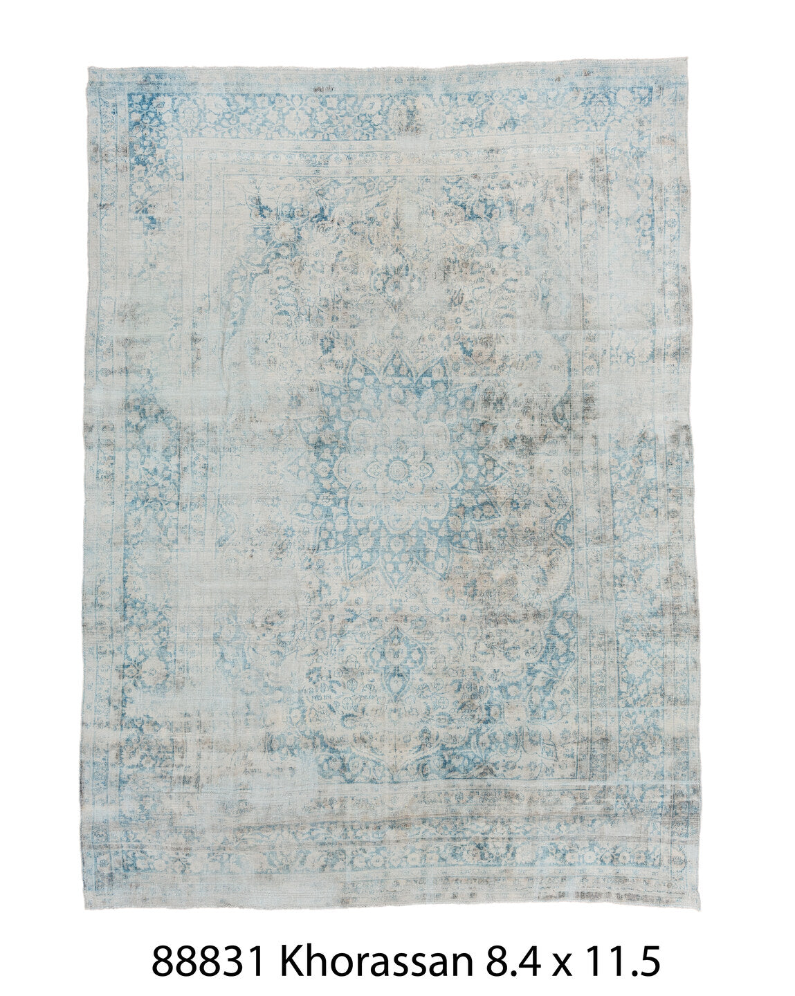088831 Rug