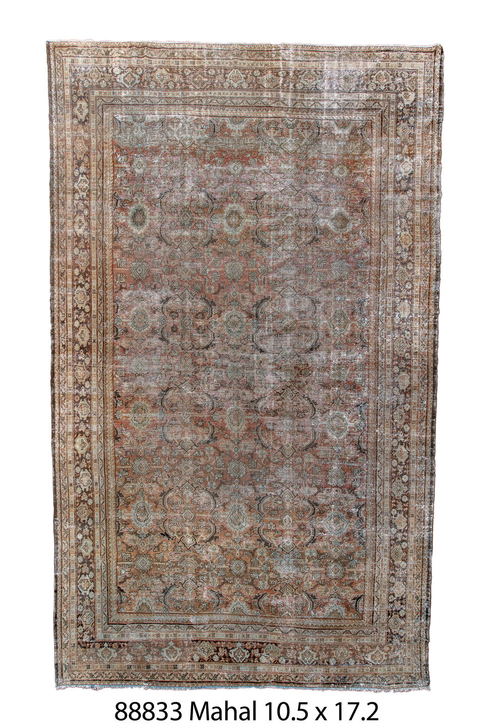 088833 Rug