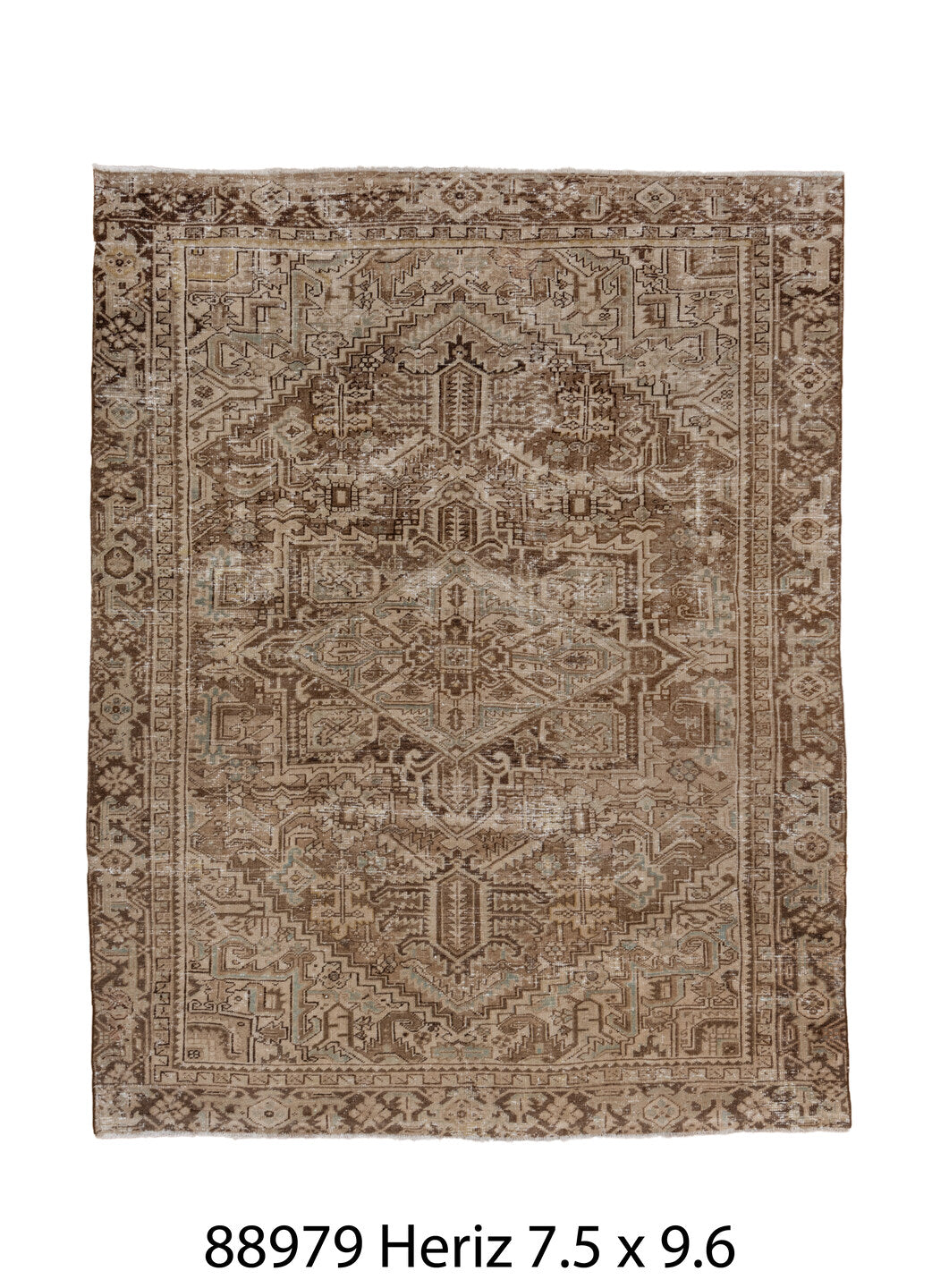 088979 Rug