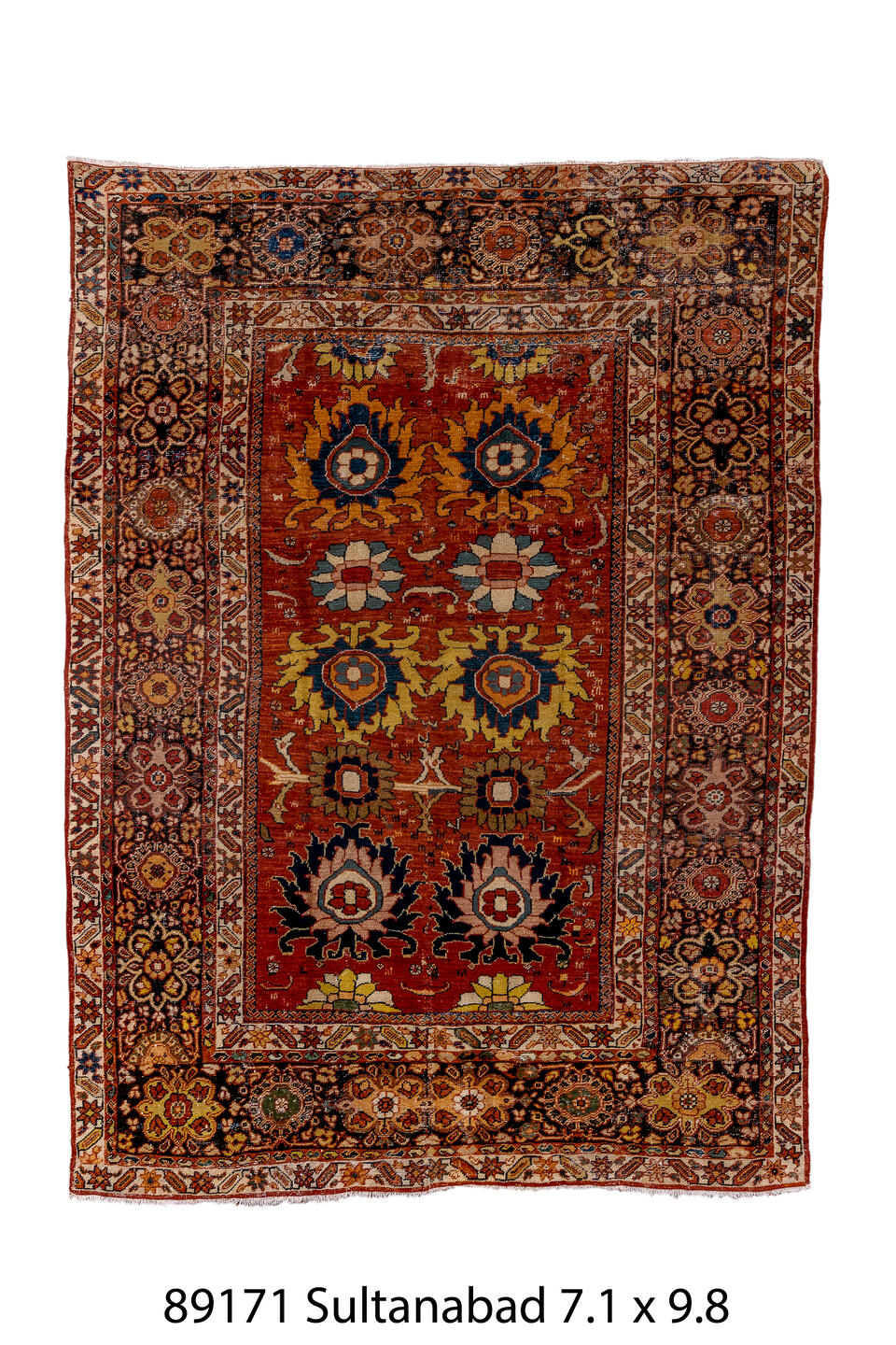089171 Rug
