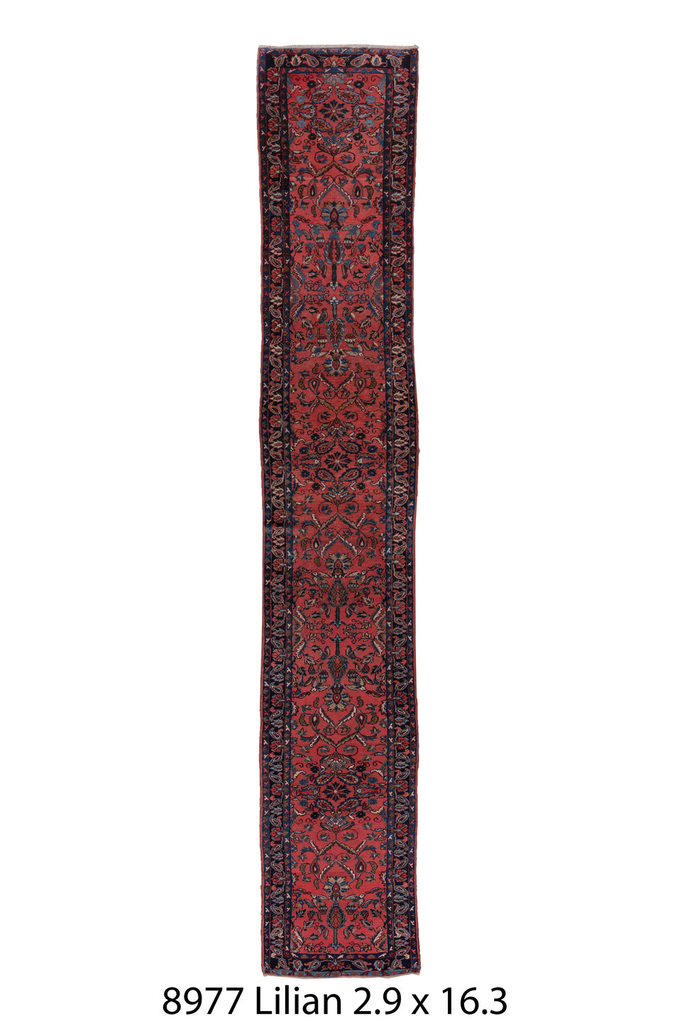 C08977 Rug