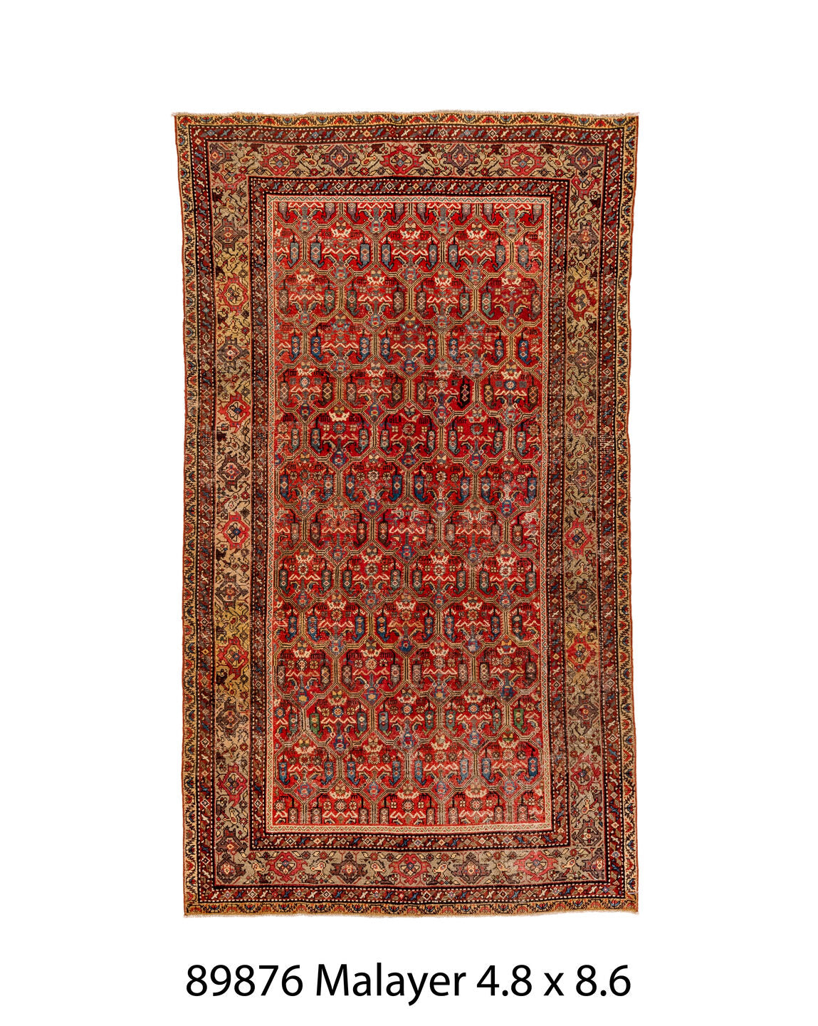 089876 Rug