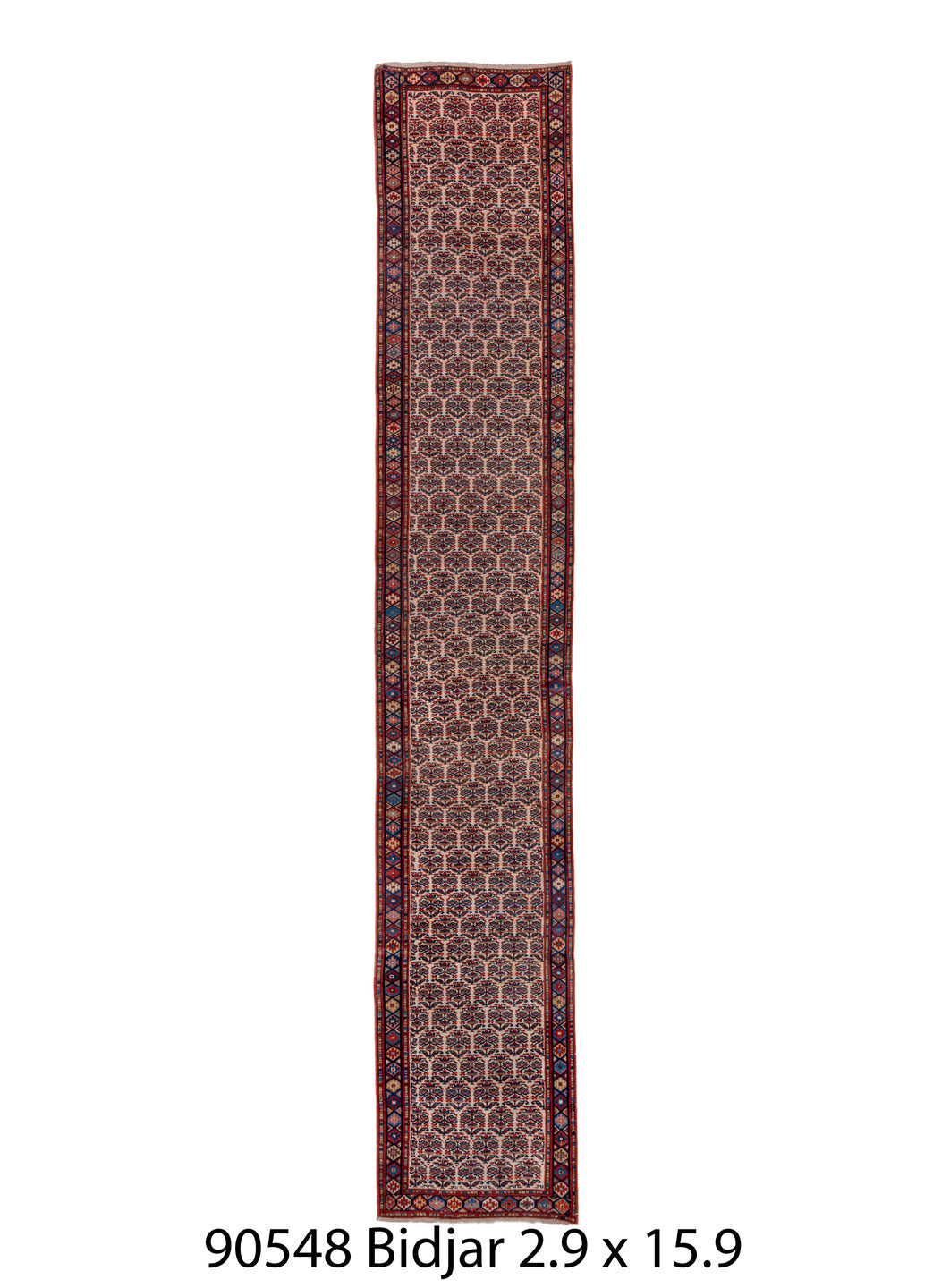 C90548 Rug