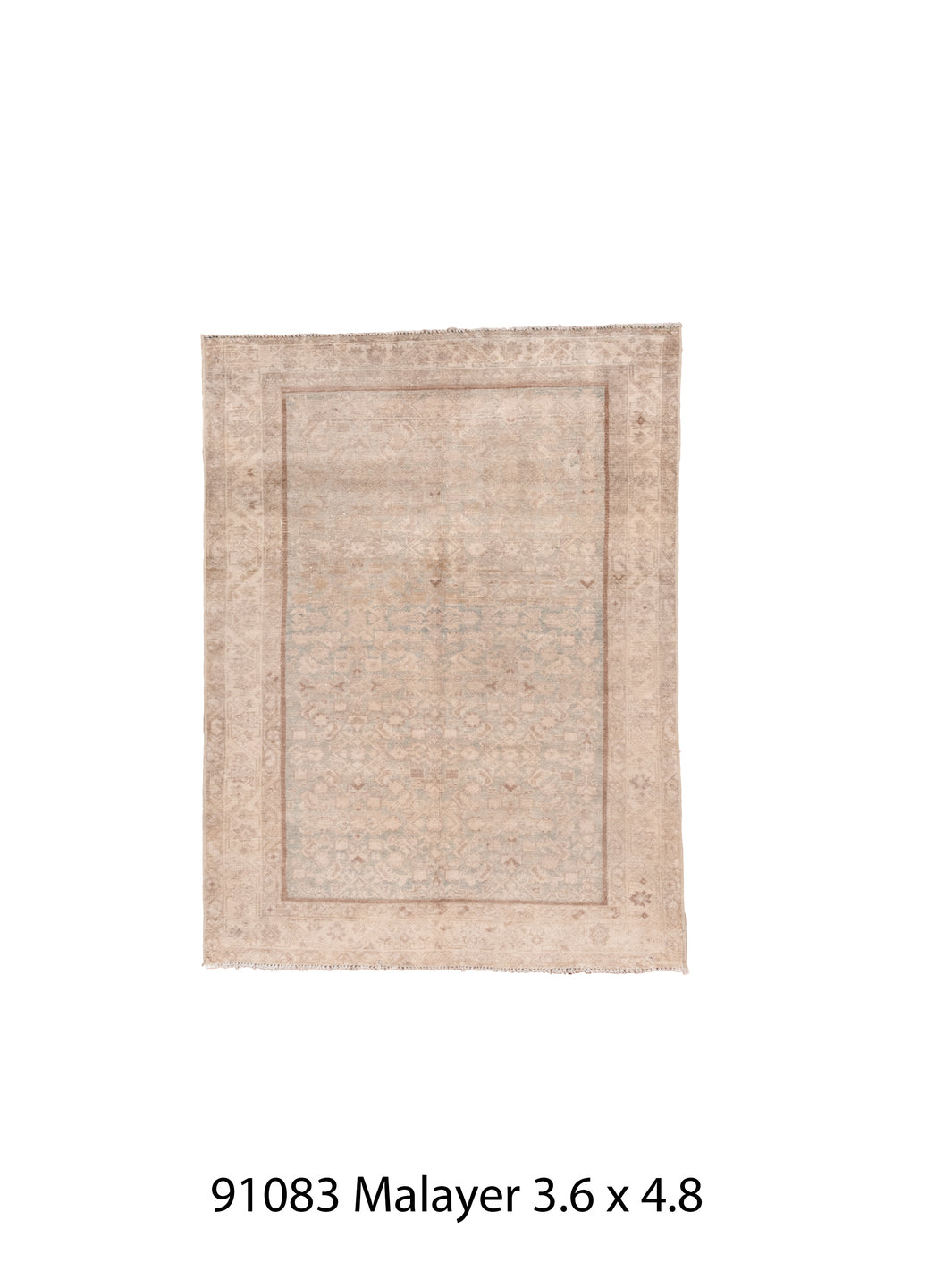 C91083 Rug