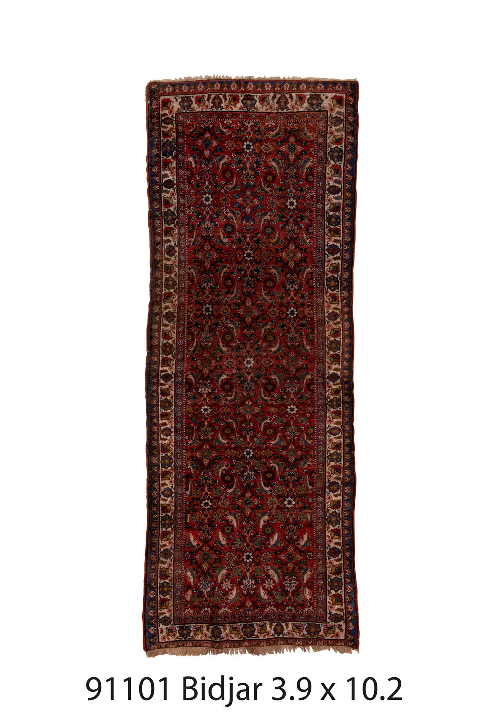 C91101 Rug