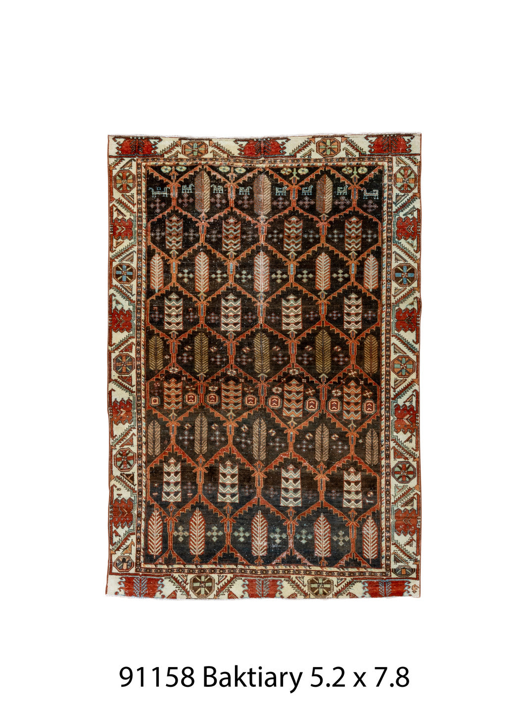 C91158 Rug