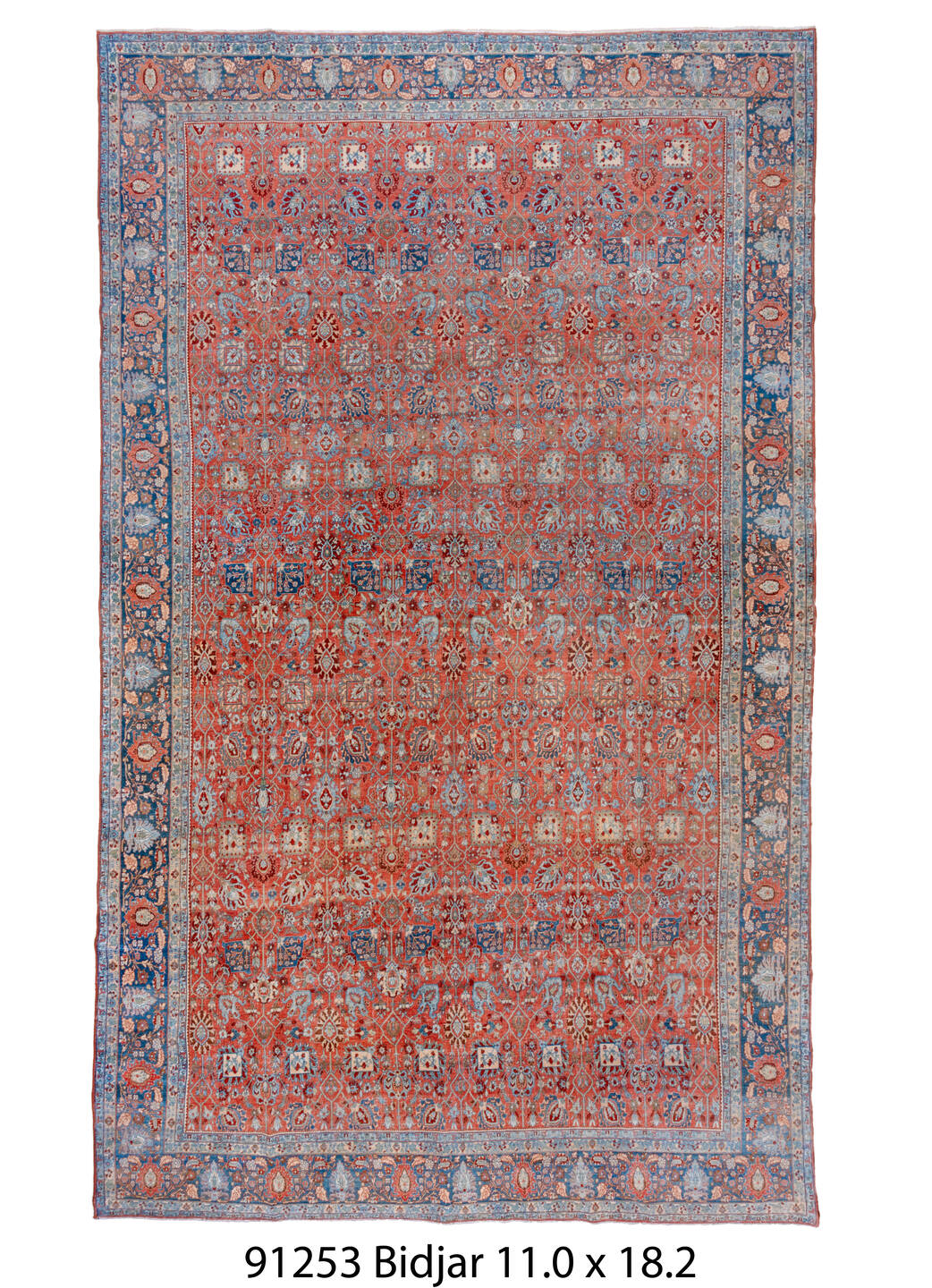 C91253 Rug