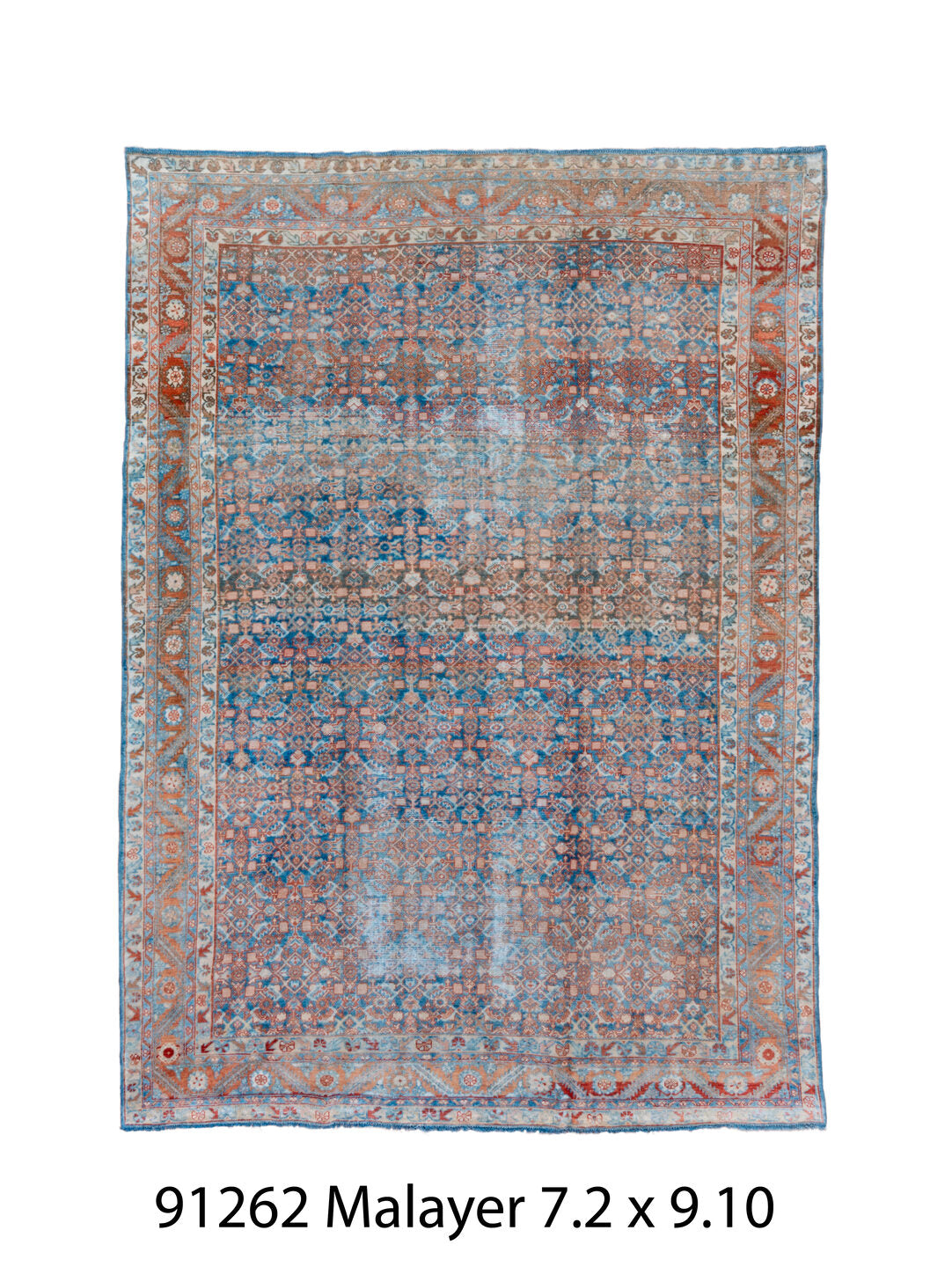 C91262 Rug