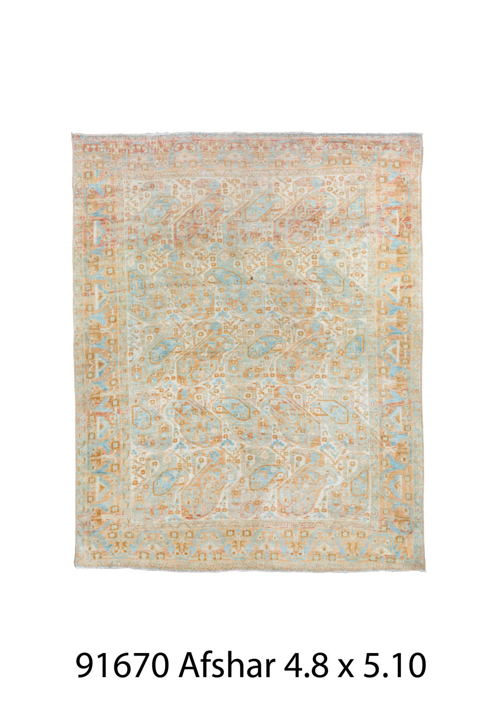 C91670 Rug