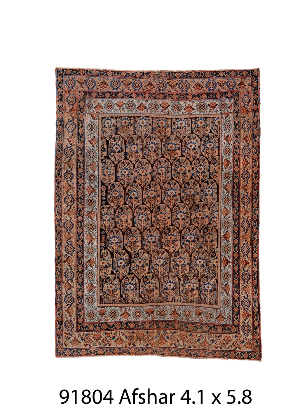 C91804 Rug