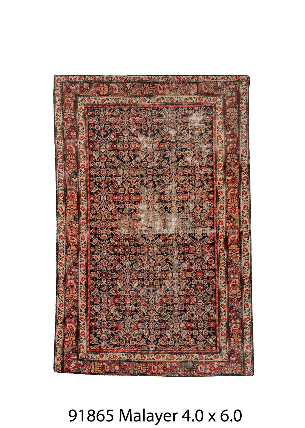 C91865 Rug