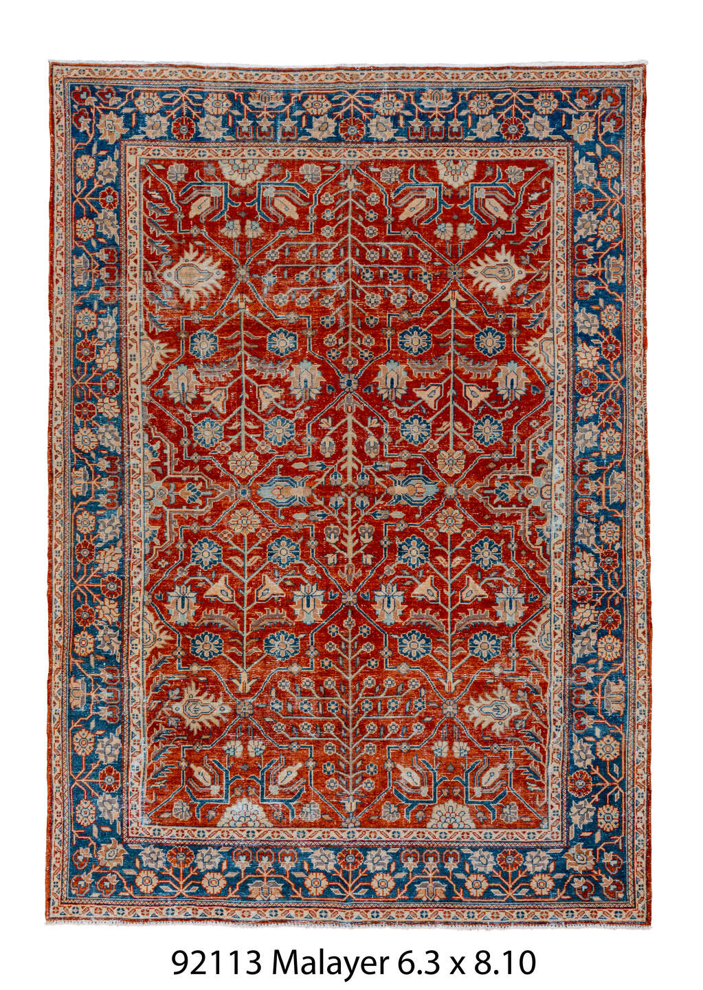 C92113 Rug
