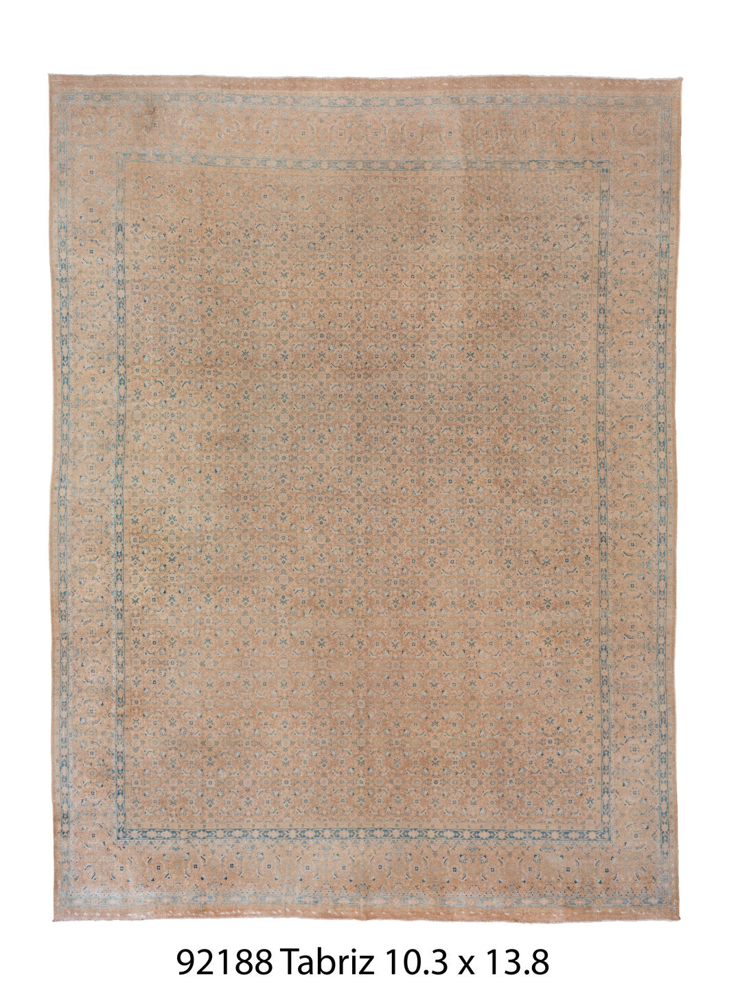 C92188 Rug